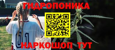 тгк Заводоуковск