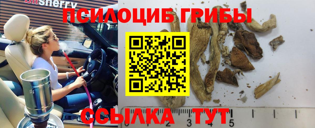 Псилоцибиновые грибы мицелий Магадан