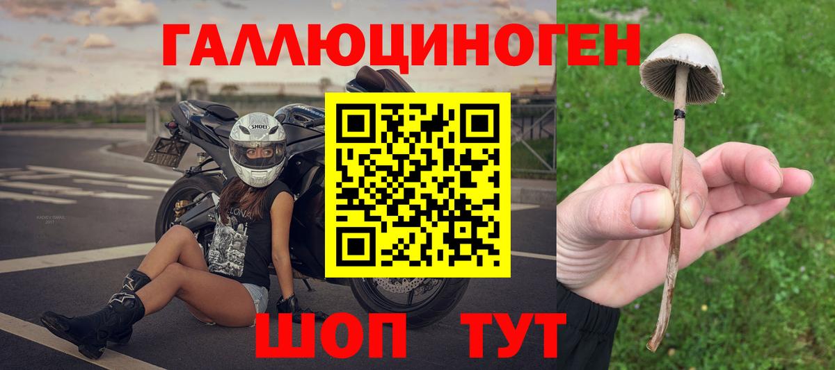 Галлюциногенные грибы MAGIC MUSHROOMS Магадан