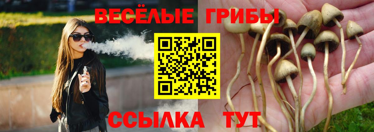 Галлюциногенные грибы ЛСД  Магадан 